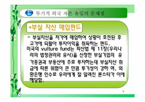 [금융] 투기적 외국자본의 유입이 과연 나쁘기만 한가-9