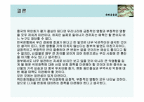 중국위안화 절상이 한국 경제에 미치는 영향-13