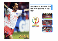 [관광조사론] 2002년 한,일 월드컵이 한국프로축구 관심도에 미치는 영향-1
