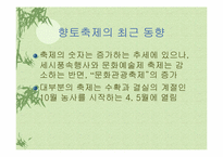 [관광] 향토축제의 문제점과 해결방안-4