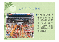 [관광] 향토축제의 문제점과 해결방안-5