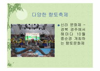 [관광] 향토축제의 문제점과 해결방안-6
