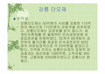[관광] 향토축제의 문제점과 해결방안-15