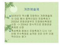 [관광] 향토축제의 문제점과 해결방안-20