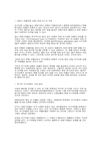 [금융] 한국의 모기지론 성공 가능성-10
