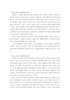 [졸업][노사관계] 한국 기업의 임금제도 및 발전적 제언-8