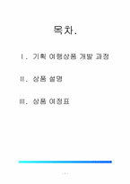 [여행상품기획] 성형 여행상품개발-1