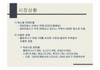 올림푸스 디지털카메라 경영전략-10