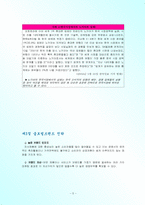 [글로벌마케팅] 글로벌제품전략-5