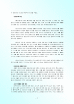[글로벌마케팅] 글로벌제품전략-17