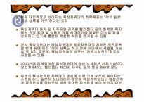 한국군과 일본자위대의 PKO 활동 비교-12
