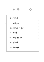 [인간과과학]나는 물리학을 가지고 놀았다(리처드 파인만) 서평-1