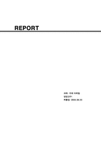 [국제마케팅] 금융산업 외환은행 해외진출사례-1