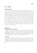 [국제마케팅] 완구제조업체-오로라월드 사례-10