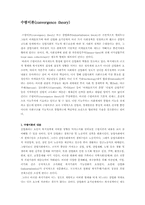 [사회복지정책론] 수렴이론과 페미니즘-7
