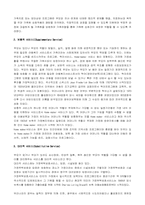 [아동복지] 아동복지의 3S모델-2