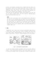 생태건축과 환경친화적 건축-2
