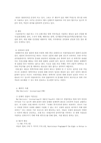 [시민운동] 한국 사회 NGO의 문제점과 나아갈 방향 -양심적 병역거부지지단체를 중심-9