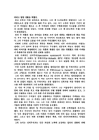 [중동문화] 수피즘에 대해(아랍문화)-7