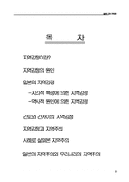 [일본사회] 일본의 지역과 지역주의-2