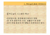 맥도날드 그리고 맥도날드화-4
