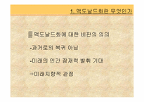 맥도날드 그리고 맥도날드화-13