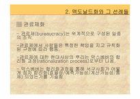 맥도날드 그리고 맥도날드화-15