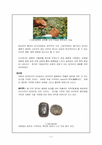 [현대사회와 범죄] 마약범죄의 실태분석 및 대응방안-4