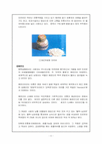 [현대사회와 범죄] 마약범죄의 실태분석 및 대응방안-6