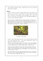 [현대사회와 범죄] 마약범죄의 실태분석 및 대응방안-8