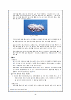 [현대사회와 범죄] 마약범죄의 실태분석 및 대응방안-9