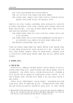 [사회복지조직] 1인 복지사무소(푸른복지사무소)-2