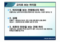 [기독교] 천주교와 개신교-8