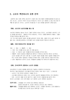 광고표현 전략 레포트-10