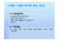 [광고기획론] `기아자동차` 뉴프라이드 국내와 중국 광고기획과 광고전략-13