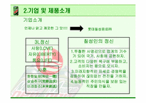 [광고기획안] 마운틴 듀 광고계획서-8