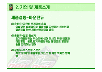 [광고기획안] 마운틴 듀 광고계획서-10