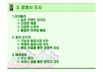[광고기획안] 마운틴 듀 광고계획서-11