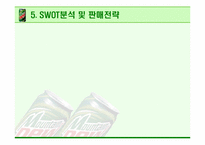 [광고기획안] 마운틴 듀 광고계획서-13