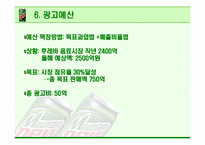 [광고기획안] 마운틴 듀 광고계획서-16