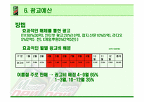 [광고기획안] 마운틴 듀 광고계획서-17