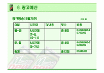[광고기획안] 마운틴 듀 광고계획서-19