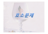 여성 알코올 중독사례관리-8