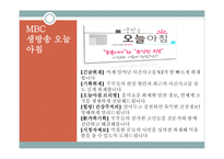 방송 모니터링 생방송 프로그램 모니터링-9