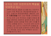 김동인의 감자 레포트-11