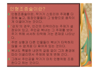 김동인의 감자 레포트-12