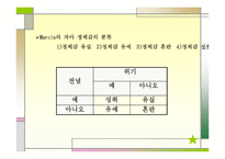 청소년기의 발달-10