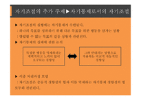 성격심리 자기 조절 관점-20
