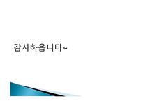 가정폭력방지 및 피해자 보호 등에 관한 법률 보고서-10