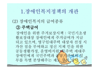 장애인 복지정책-8
